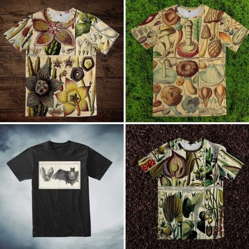 4 tees from bartlby.creator-spring.com
"Nightmare botanical" all-over print tee
"Fungi 1" all-over mushroom print tee
"it's bats" premium tee, scientific bat illustration 
"Botanical k" all-over print botanical tee