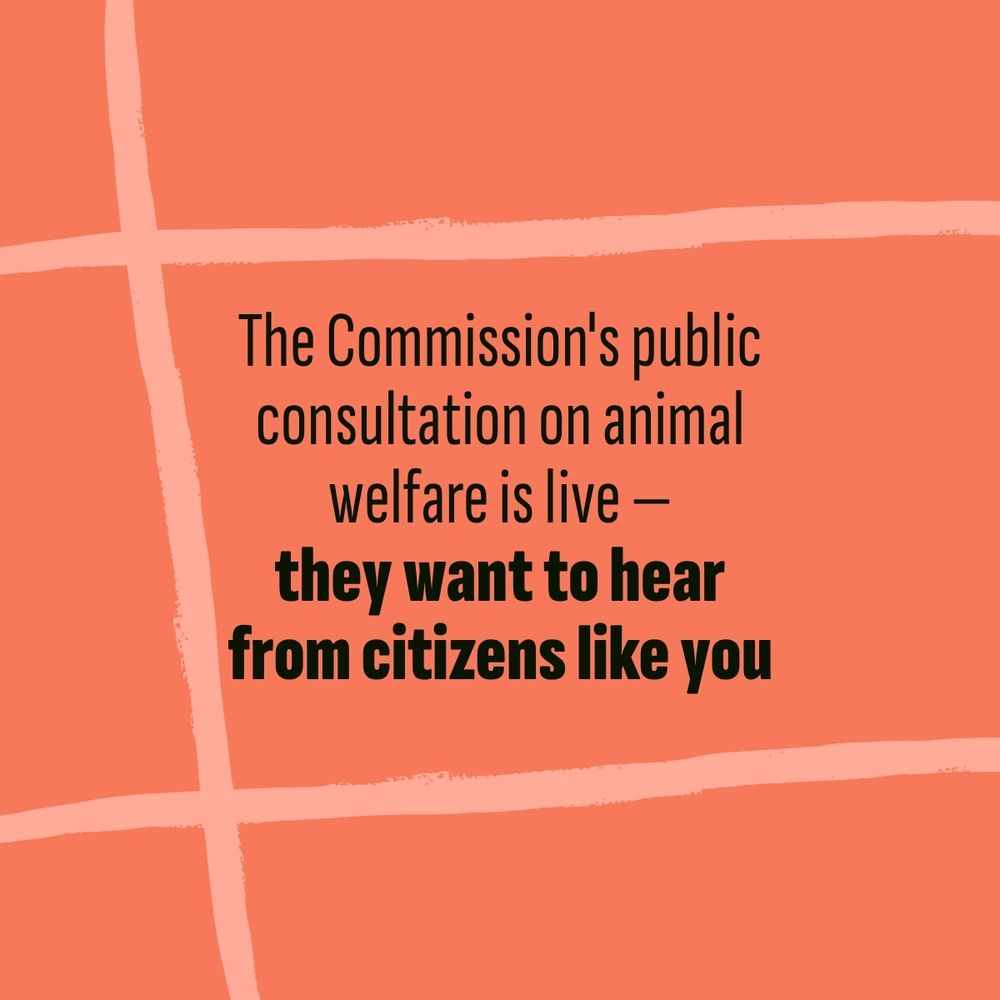 The Commission's public consultation on animal welfare is live - they want to hear from citizens like you.