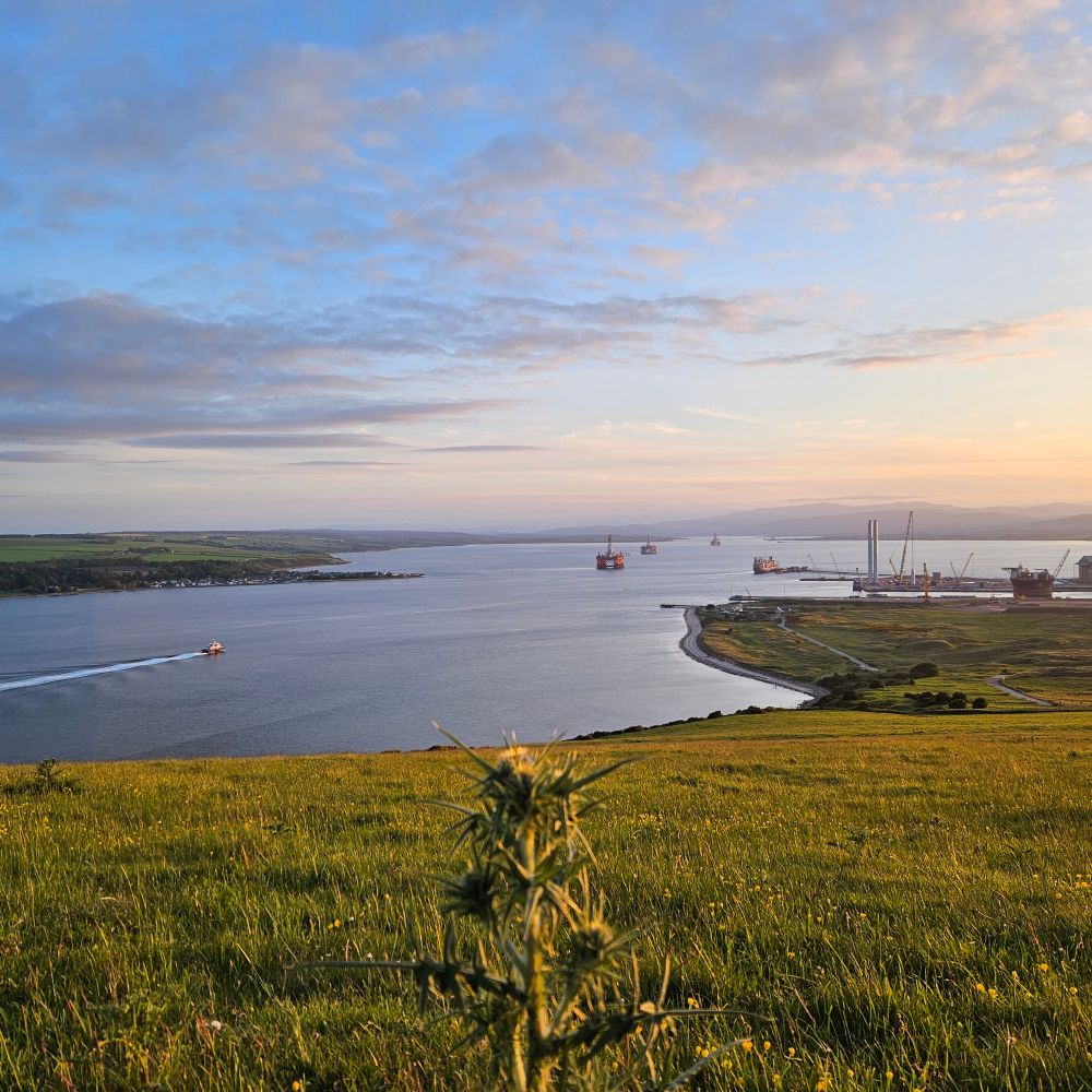 The Cromarty Firth, with Cromarty on the peninsula to the left.
