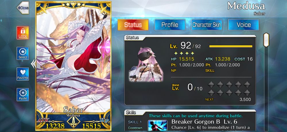 Screenshot of Medusa (Saber) from Fate Grand Order