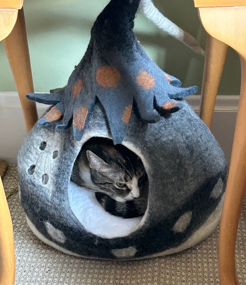 Felted, enclosed cat bed shaped like a fairytale hut.  Inside is a torti-tabby cat with a white nose and ruff. She’s curled up on a pillow inside the bed. 