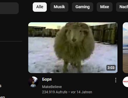 Cropped screenshot of the YouTube homepage with a low-quality, 3 minute long video of a sheep with the title as some text in (presumably) Russian