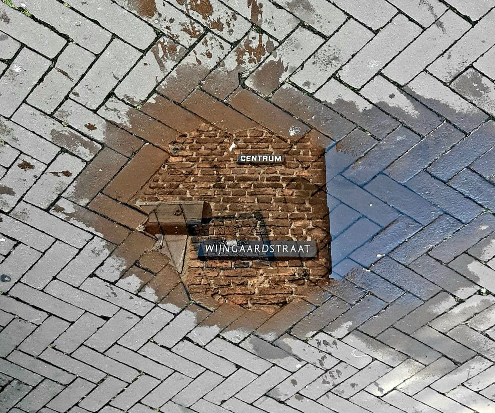 Eine Pfütze auf einer typisch niederländisch diagonal gepflasterten Straße. Darin spiegelt sich ein kleiner Teil eines Ziegelsteinhauses. Daran befestigt und in Klarschrift zu lesen die Schilder 'Centrum' und 'Wijngaardtraat'.