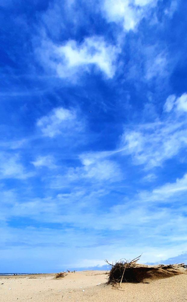 Hochformat. Am unterdten Rand der menschenleere Strand, nur ein Seetsngbüschel im Vordergrund. Der ganze Rest des Fotos ist blauer Himmel mit freundlichen Cirruswolken. Ein schöner Tag zum Spazierengehen. 