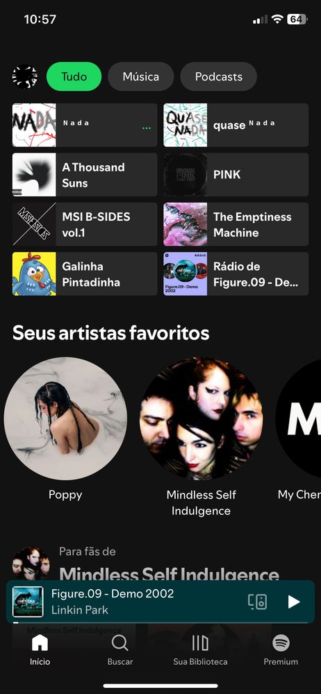 Home do Spotify