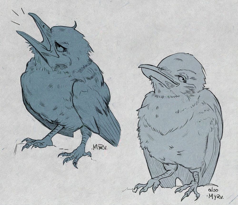 Digital drawings of two baby ravens