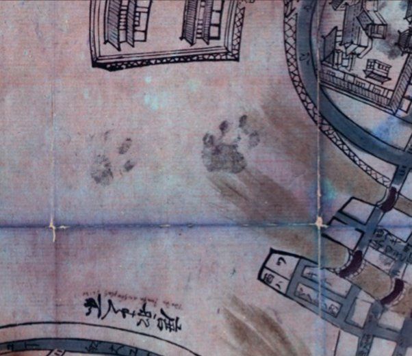 Ultraviolet photography revealing cat paw prints on Nagasaki ezu. (Photo: Christina Duffy, British Library) 