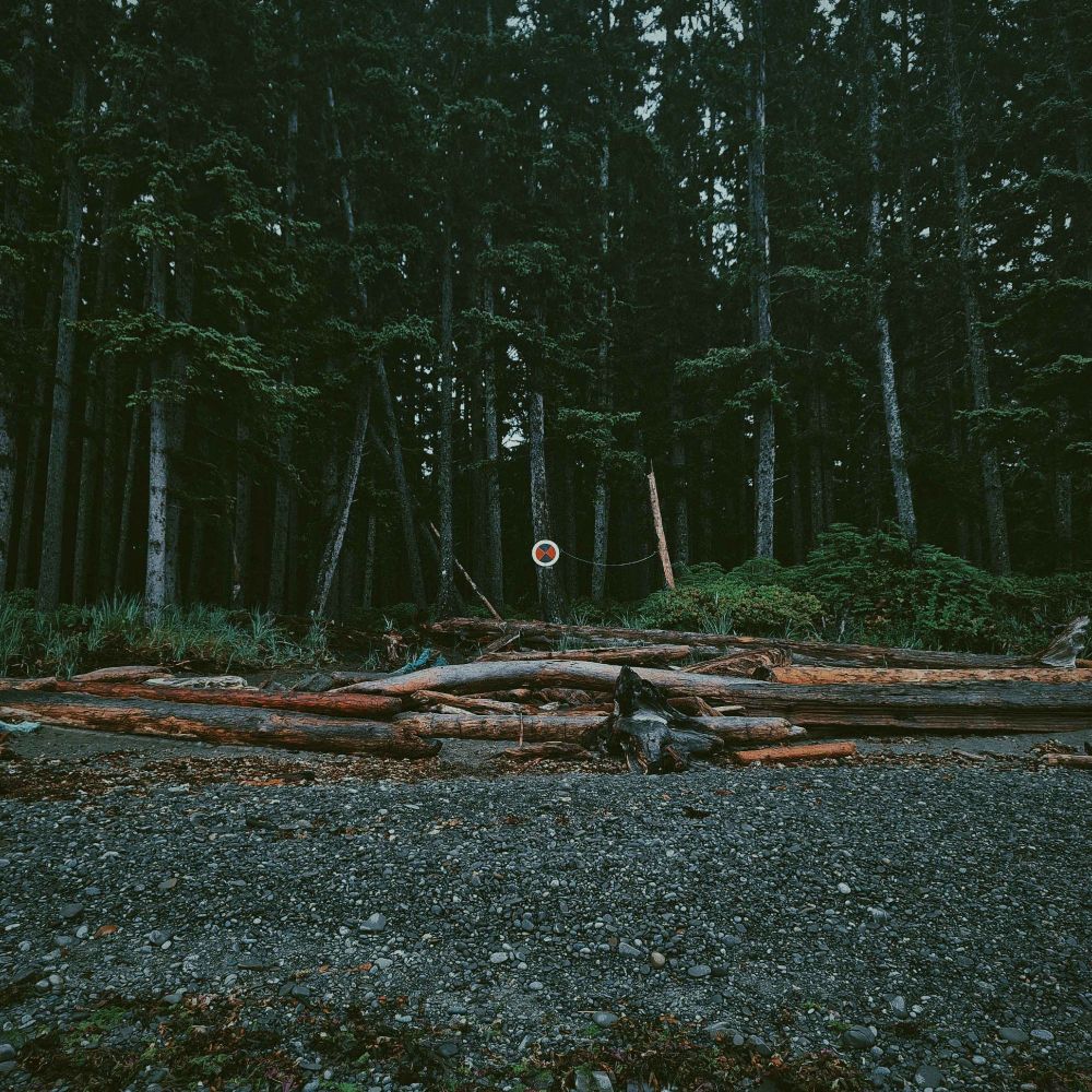 Post image (had no alt text on Bluesky)