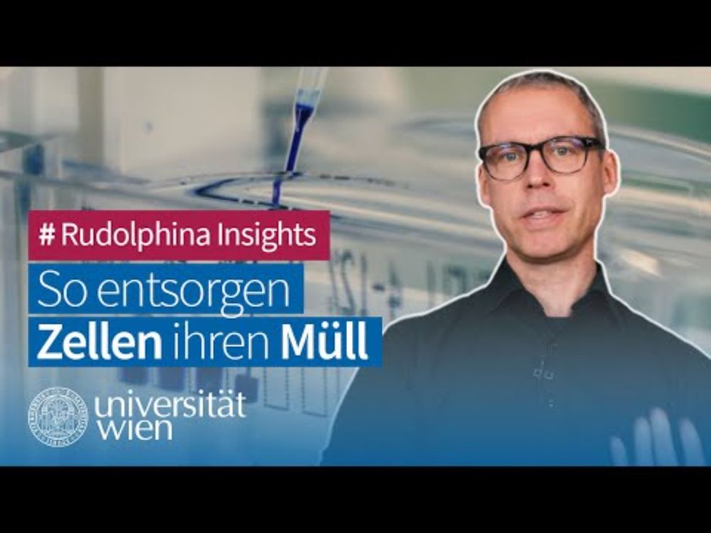 🧫Autophagie: Wie Zellen sich selbst reinigen | Universität Wien