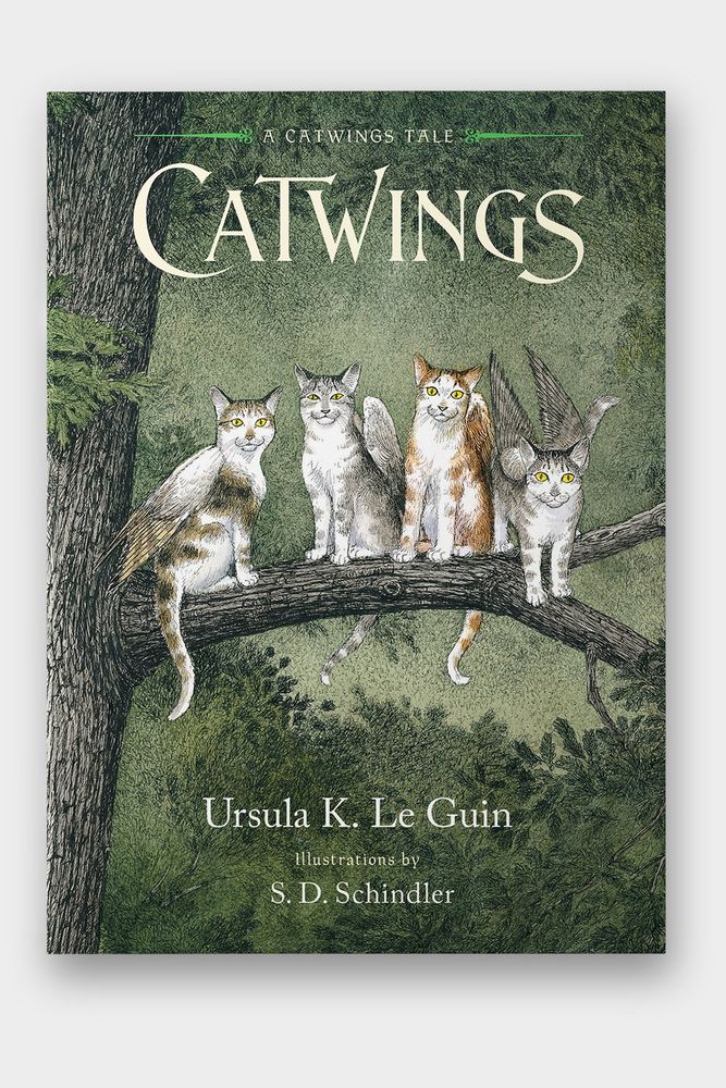 A picture of the cover of the book Catwings by Ursula K. Le Guin. Illustrations by S.D. Schindler.