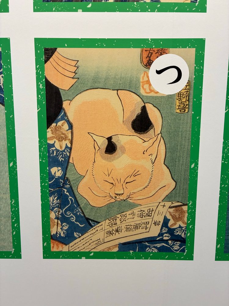 マゲミっぽさある