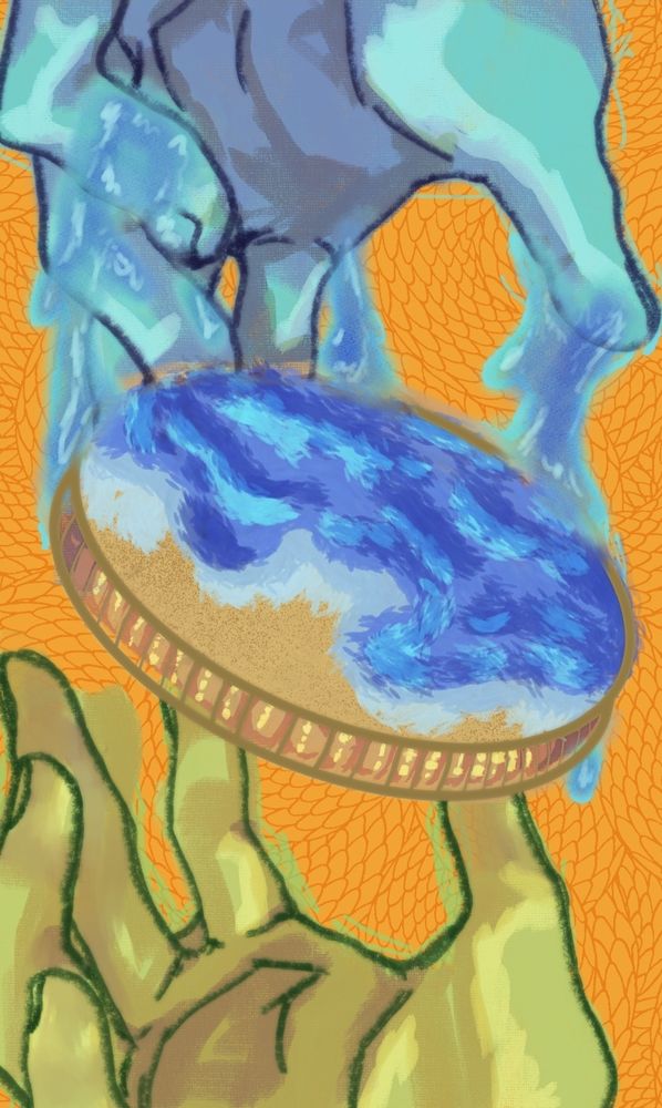 Orange background with a faint snake print. Atop it are 2 hands on the top (blue coloured) and bottom (green coloured) reaching for the same coin.

The top hand seems to be winning as it's attached to the coin by waves spilling from its fingers and into the sandy beach that decorates the coin face. 