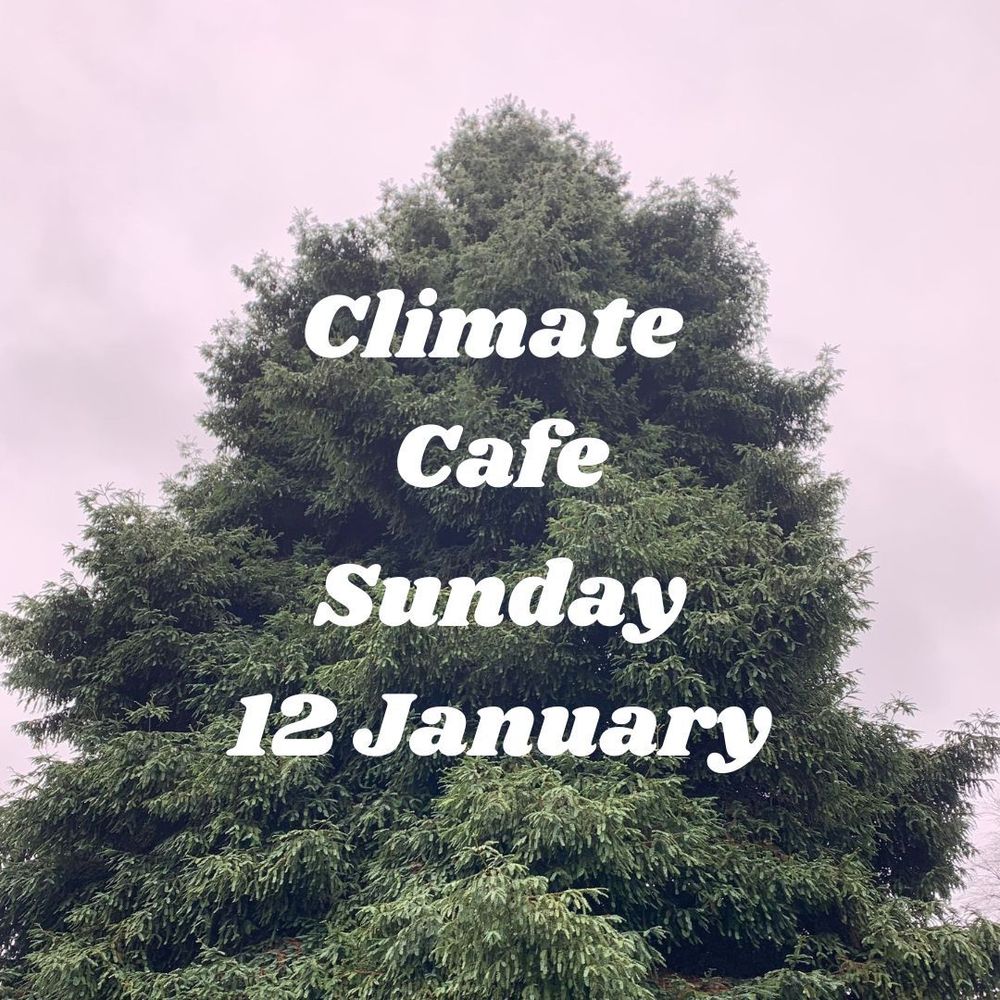Pic of a tree with "Climate Café Sunday 12 January"
