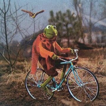 A picture of Kermit the Frog on a bike in autumnal weather.