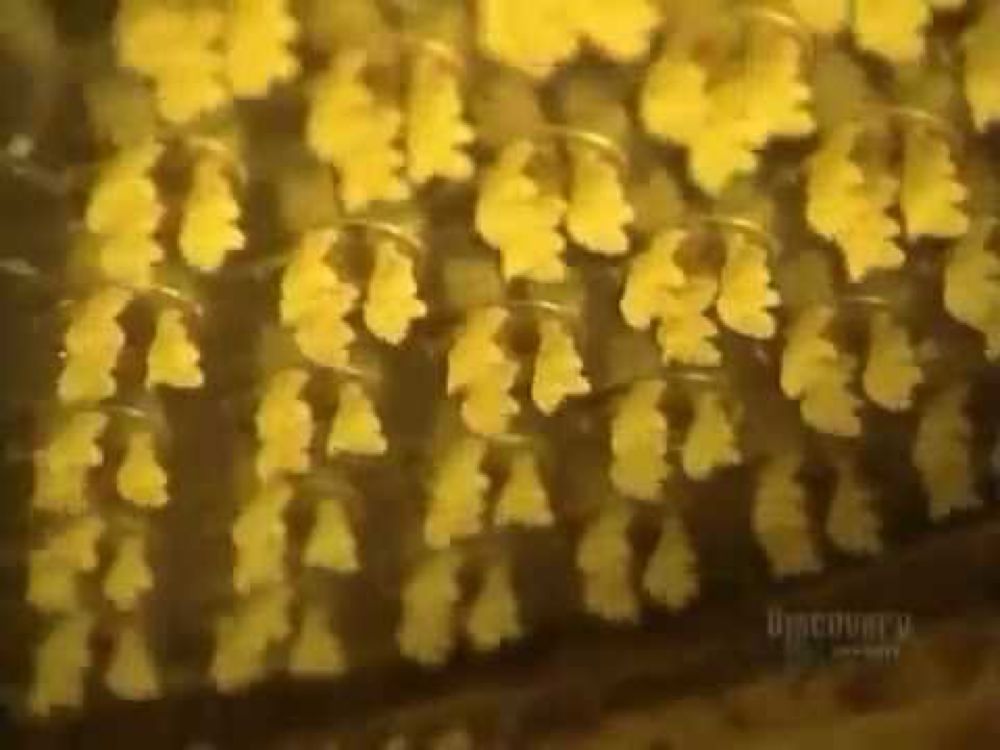 How It's Made - Pasta