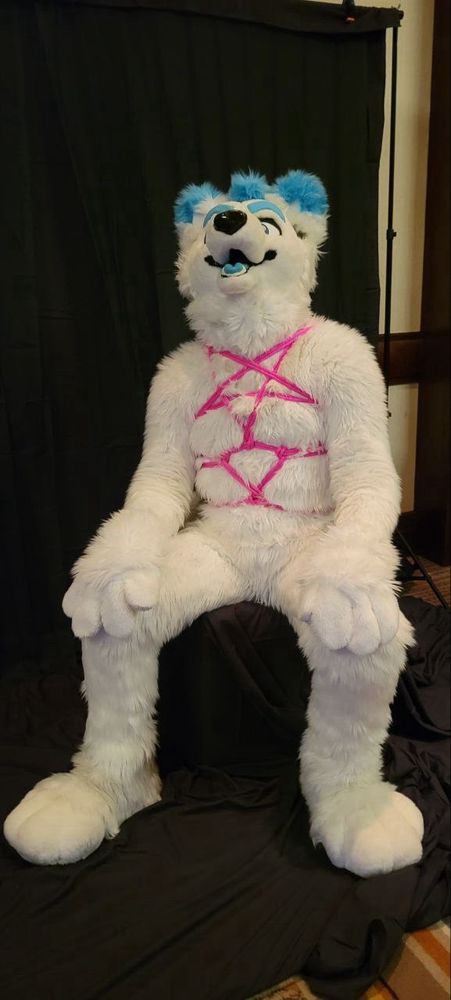 Arc the white arctic fox fursuiter is seated and yapping in joy. The photo shows off his freshly tied Shibari pentagram harness. The bright pink rope contrasts with his white fur.