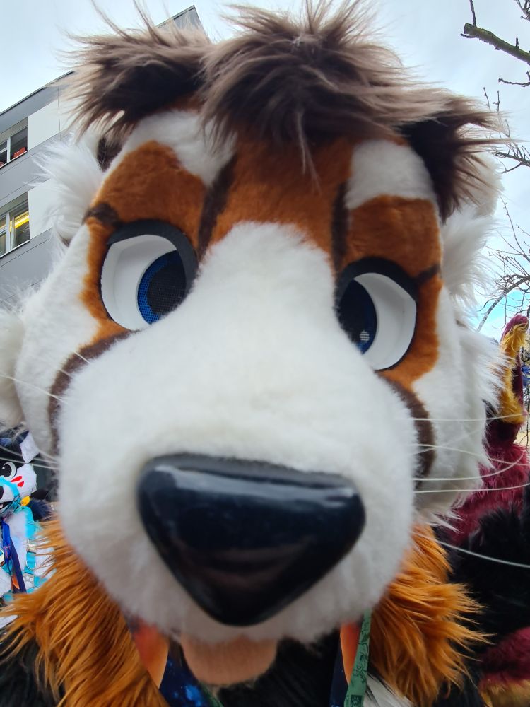 Closeup of my fursuit shot with a wide angle lense, ridiculously enlarging my snout