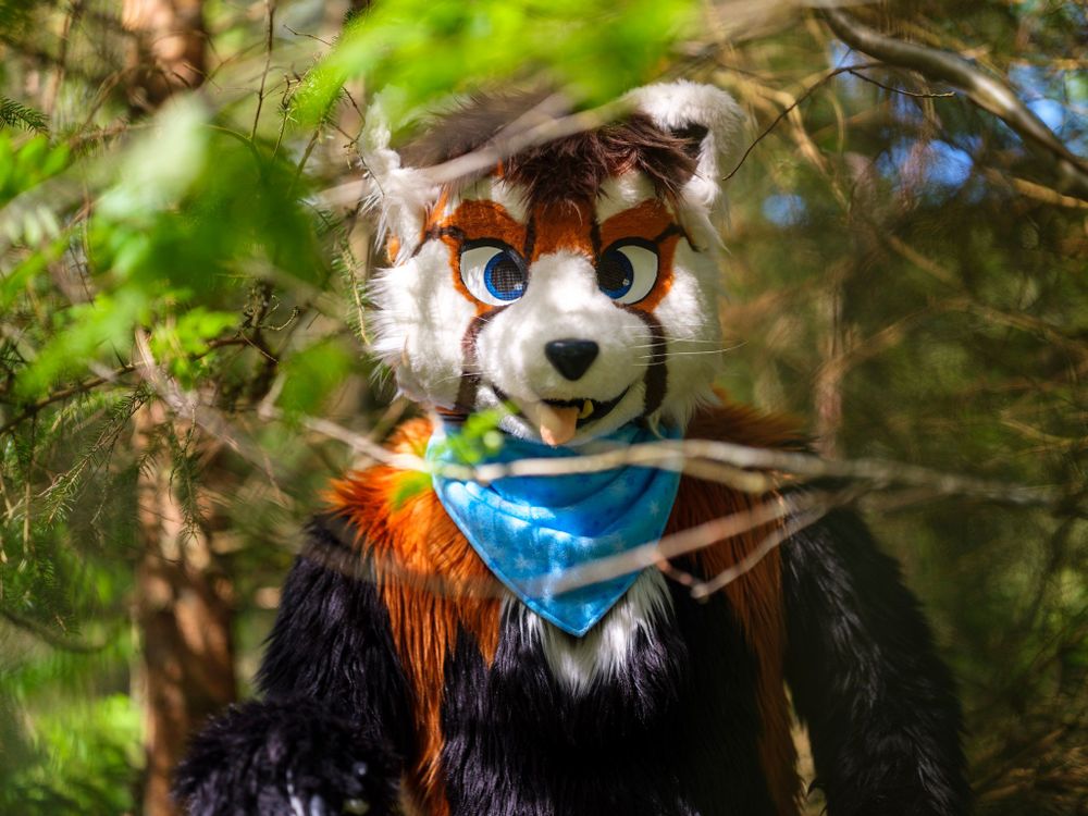 Portrait photo of me in my toony red panda fursuit standing in thick forest foliage. I look directly at the viewer, and grin widely, because I think they're cute.