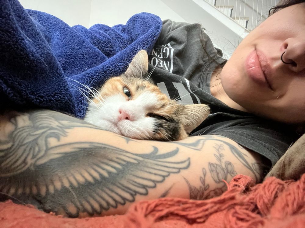 Eu deitada com a minha gata tricolor de conchinha no sofá