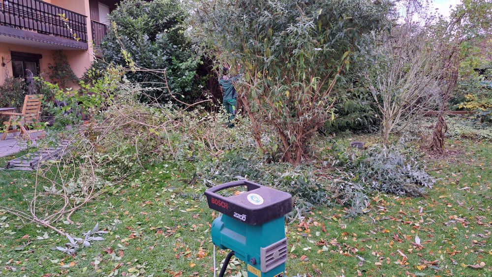 Ein Häcksler in einem Garten vor geschnittenen Sträuchern