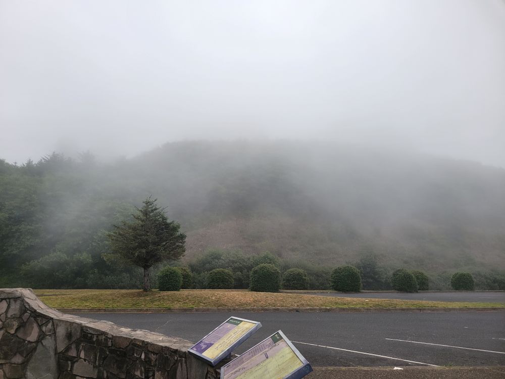 A photo of a mountain on the Oregon Coast shrouded in fog