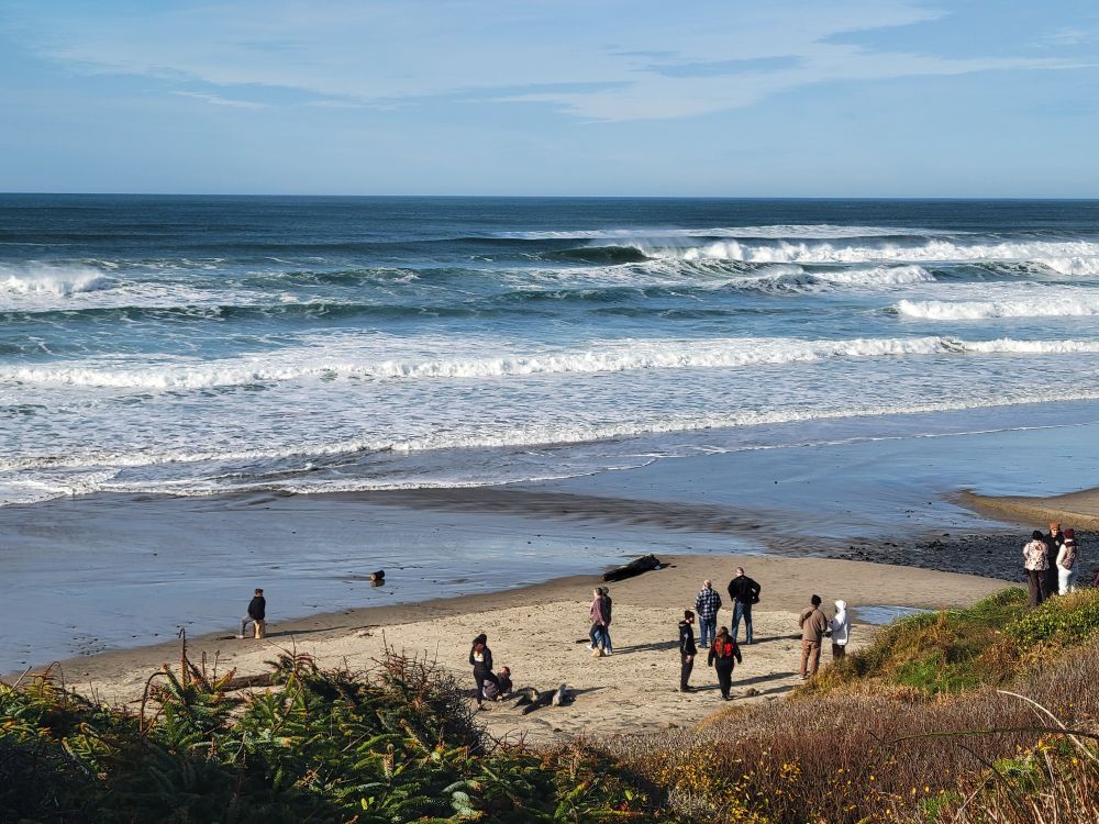 High tide coming to the Oregon coast at around 1pm. A small group of people are hanging out on the tiny strip of dry sand