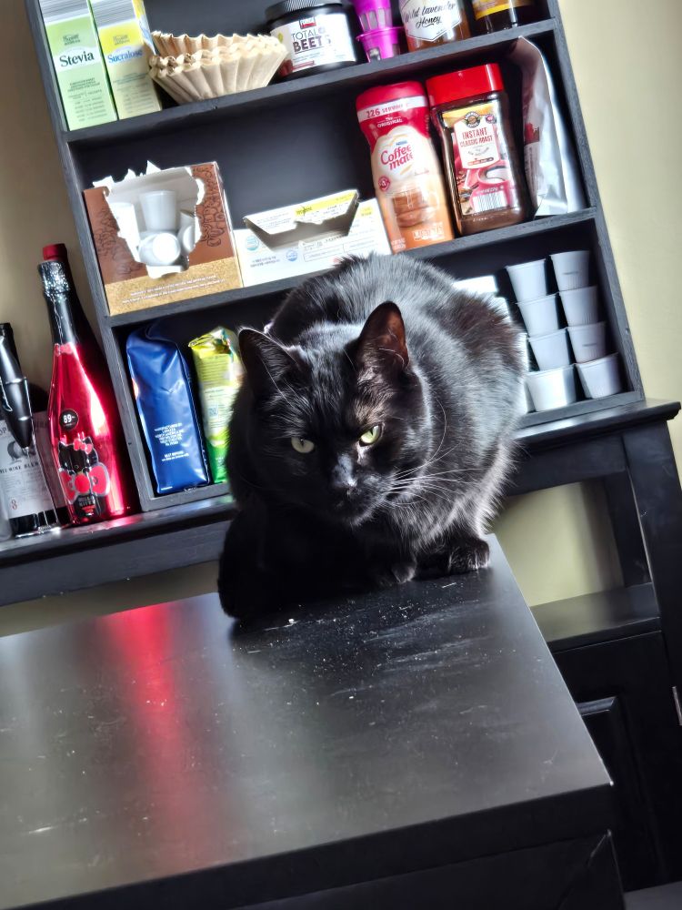 A black cat crouching on the black table. He is crounched widely. He stares blankly ahead. 
