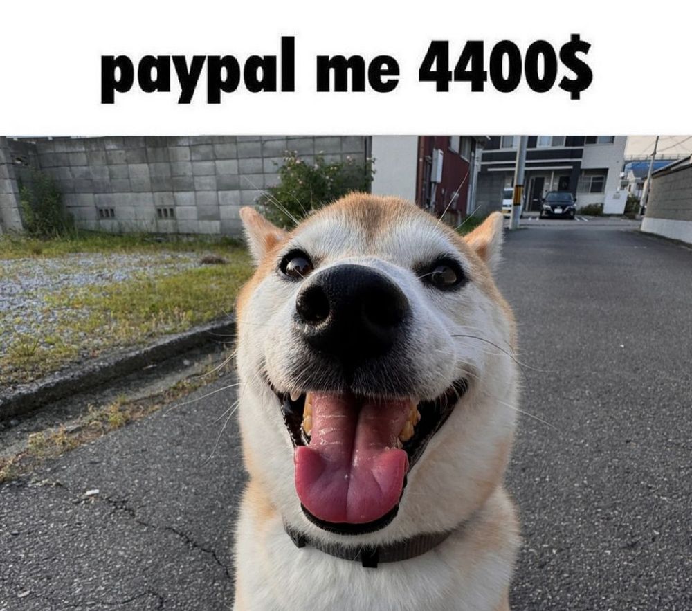 paypal me 4400$