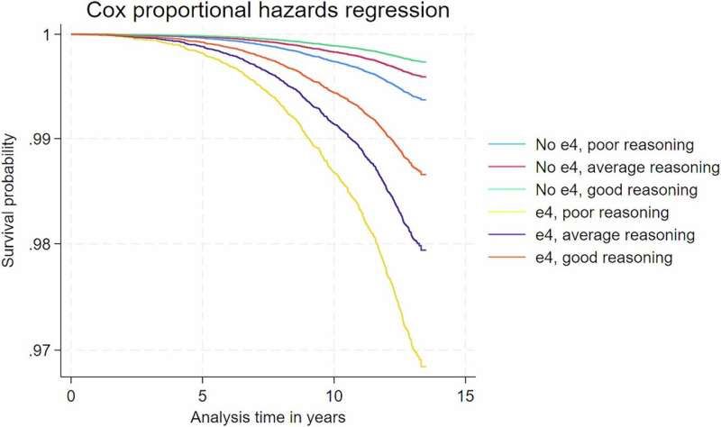 Covariate-adjusted Cox proportional hazards regression survival function, by verbal-numerical reasoning 'poor/average/good' status, apolipoprotein e4 genotype and incidence of Alzheimer's disease. Credit: npj Dementia (2025). DOI: 10.1038/s44400-025-00013-3