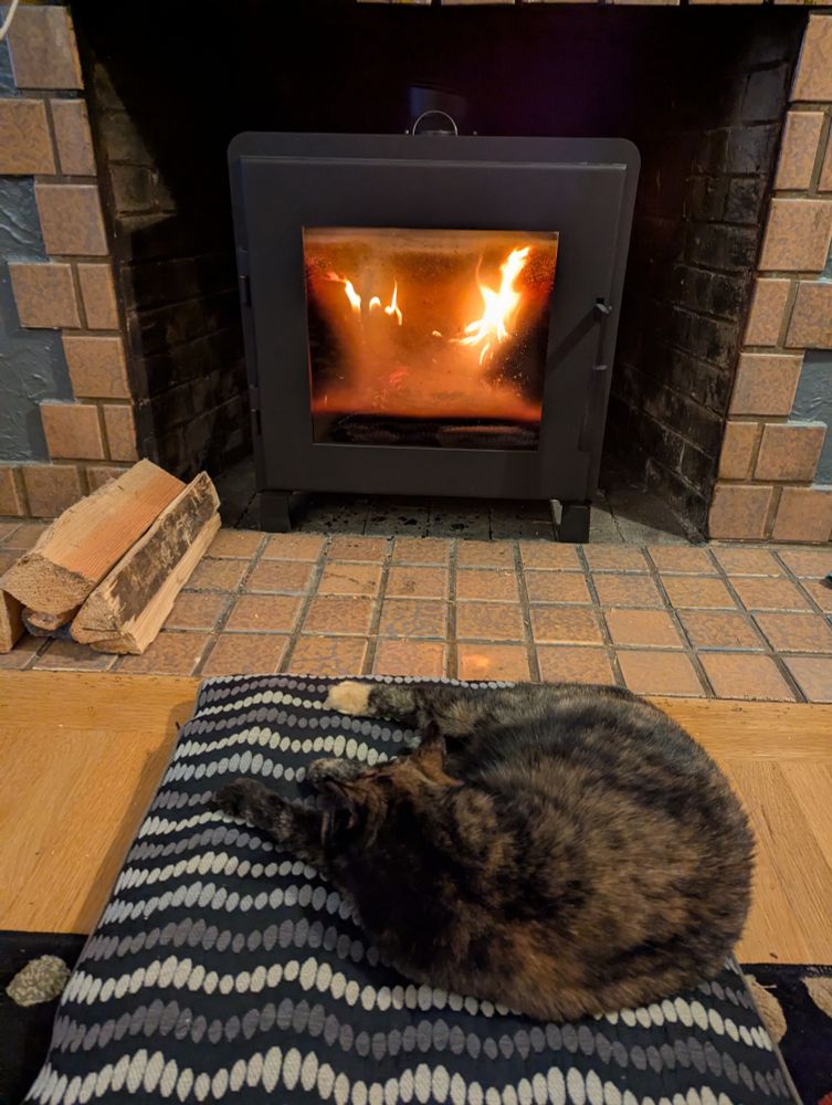 Cat sleeping on a pillow in front of a wood stove