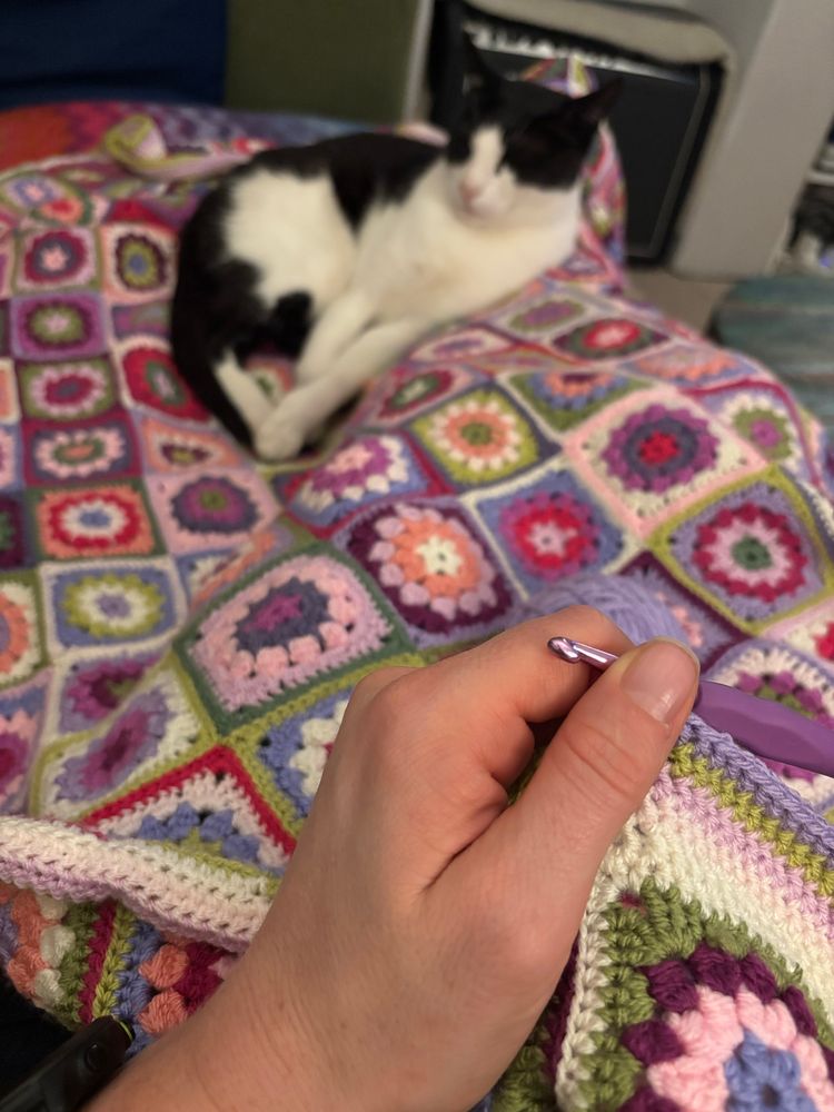 Photo is a crochet blanket spread across my legs with a cat on it. In my hands is a hook where I am edging the blanket 