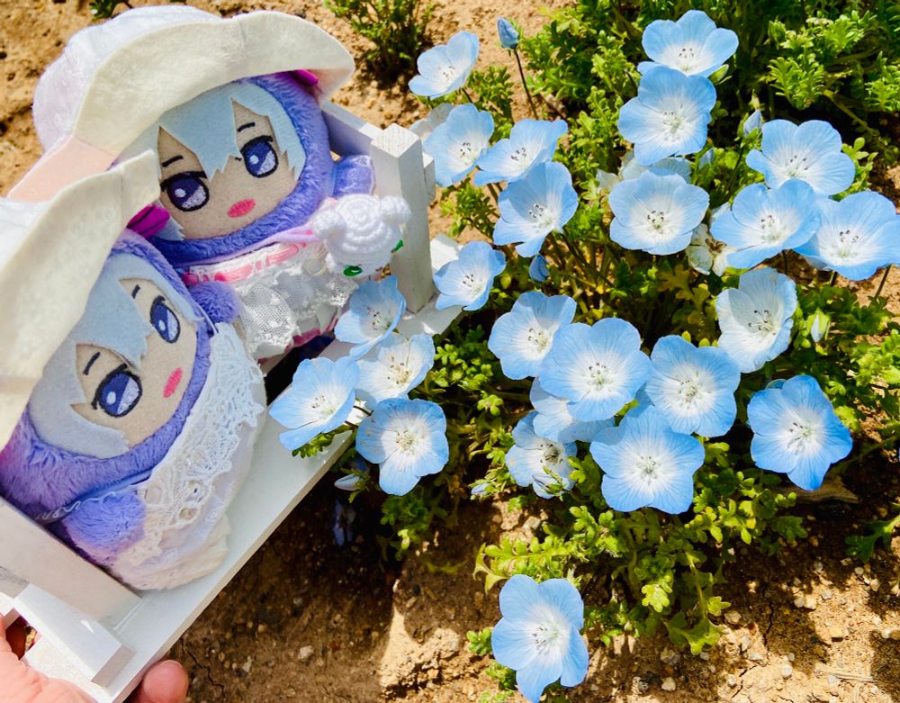 モンたまくんの色だね〜🩵