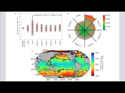 Ocean Acidification Exceeded the Planetary Boundary Limit Back in 2020, according to Newest Research