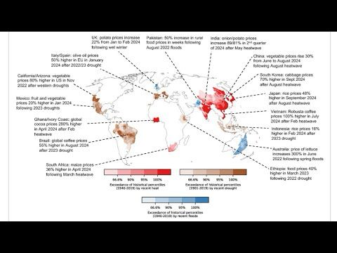 Climate Extremes, Global Food Price Spikes, and their Wider Knock-On (Cascading) Societal Risks