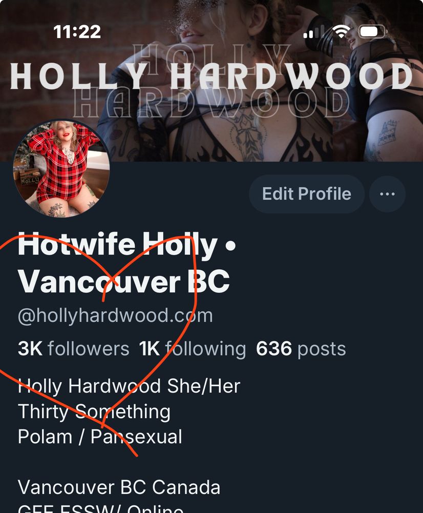 A screenshot of Holly Hardwood’s Bluesky profile with 3k followers circled with a red hand drawn heart. 