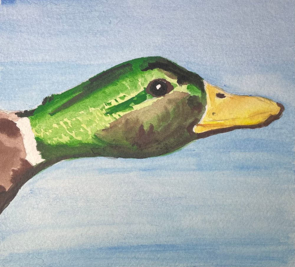 Painting of a male mallard's face, with a blue background.