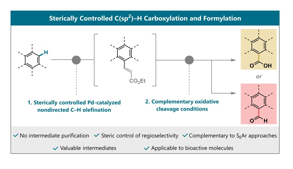 A reaction scheme showing a generic arene structure, which is first olefinated through a nondirected C-H olefination, followed by two oxidative cleavage pathways, one giving carboxylation products the other giving formylation products. 