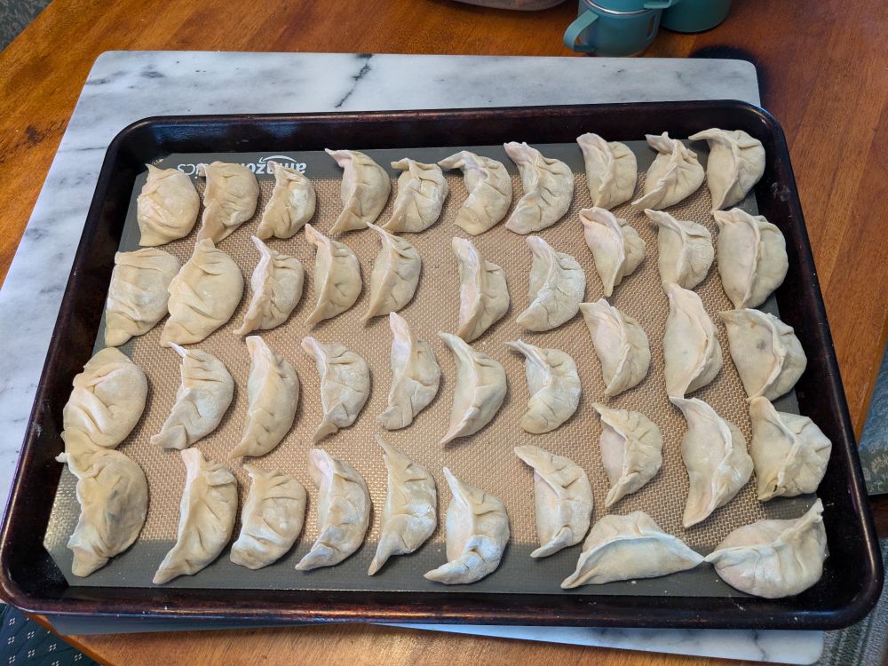 Forty two uncooked, homemade pork and cabbage dumplings on a half sheet tray.