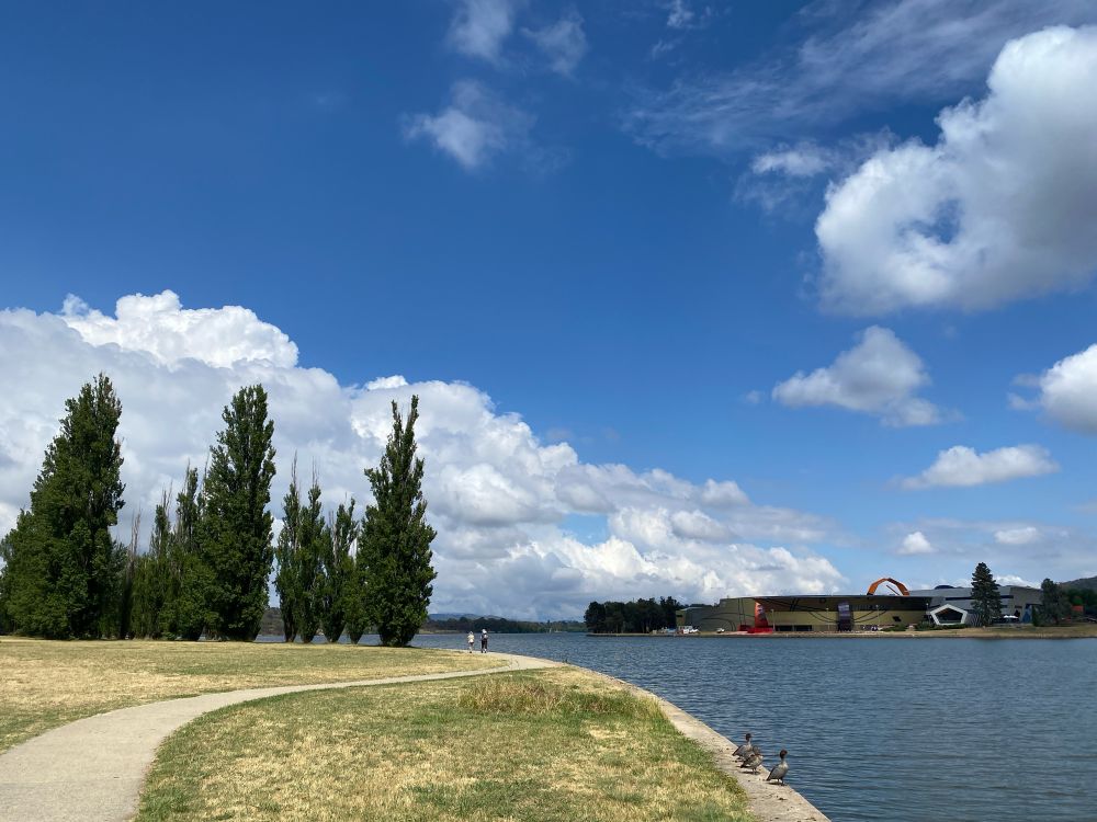 Walking along Lake Burley Griffin, sunny cerulean blue sky with clouds, museum across the water, and ducks contemplating a swim. It was hot and humid. 
