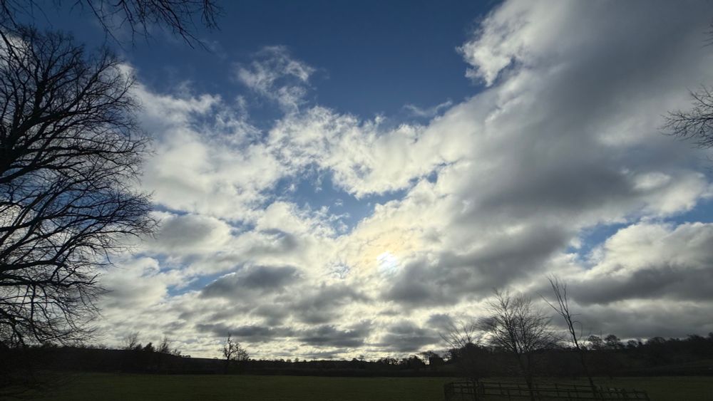 A cloudy sky above field and trees