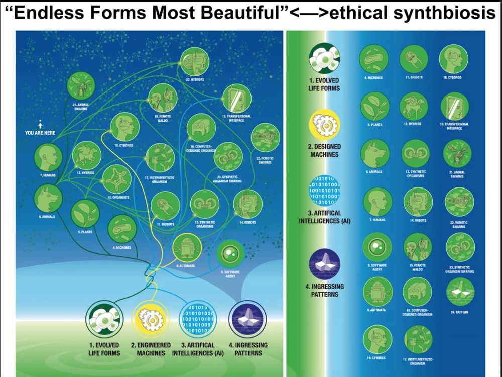 Ethical Synthbiosis 