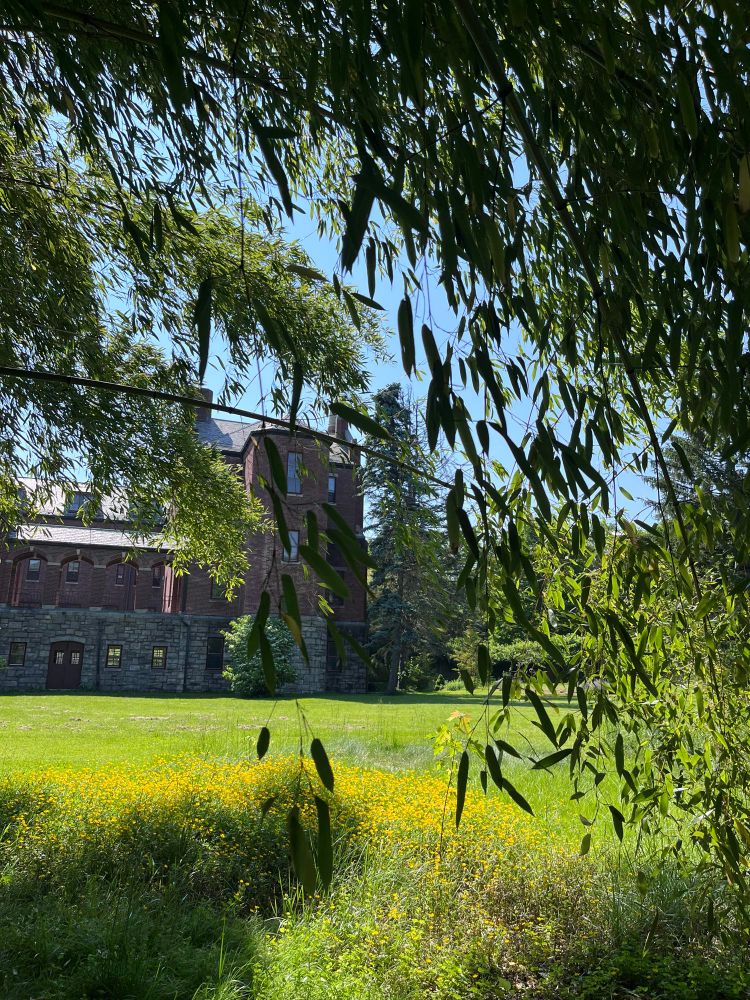 Endless summer at Garrison institute 