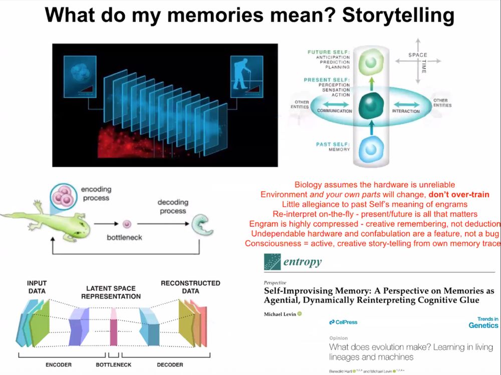 What do my memories mean? Storytelling 