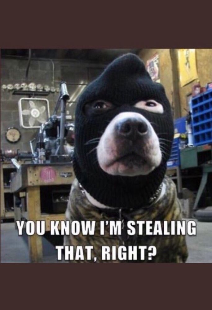 Comment image