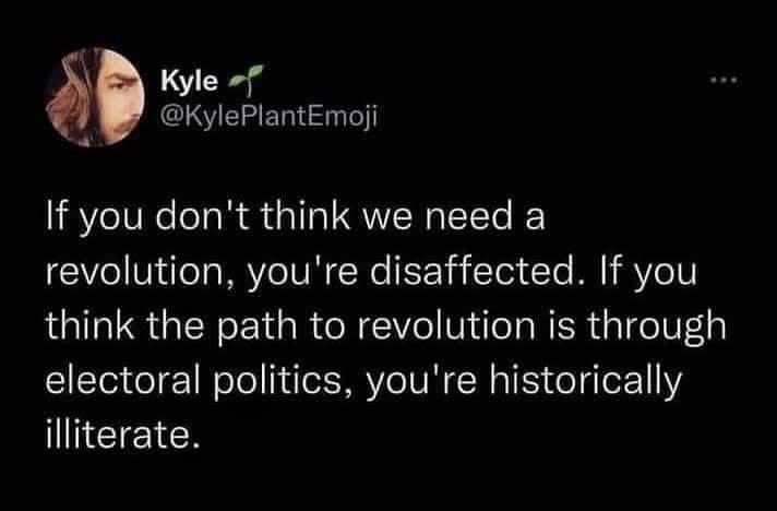 If you don't think we need a revolution, you're disaffected. If you think the path to revolution is through electoral politics, you're historically illiterate.