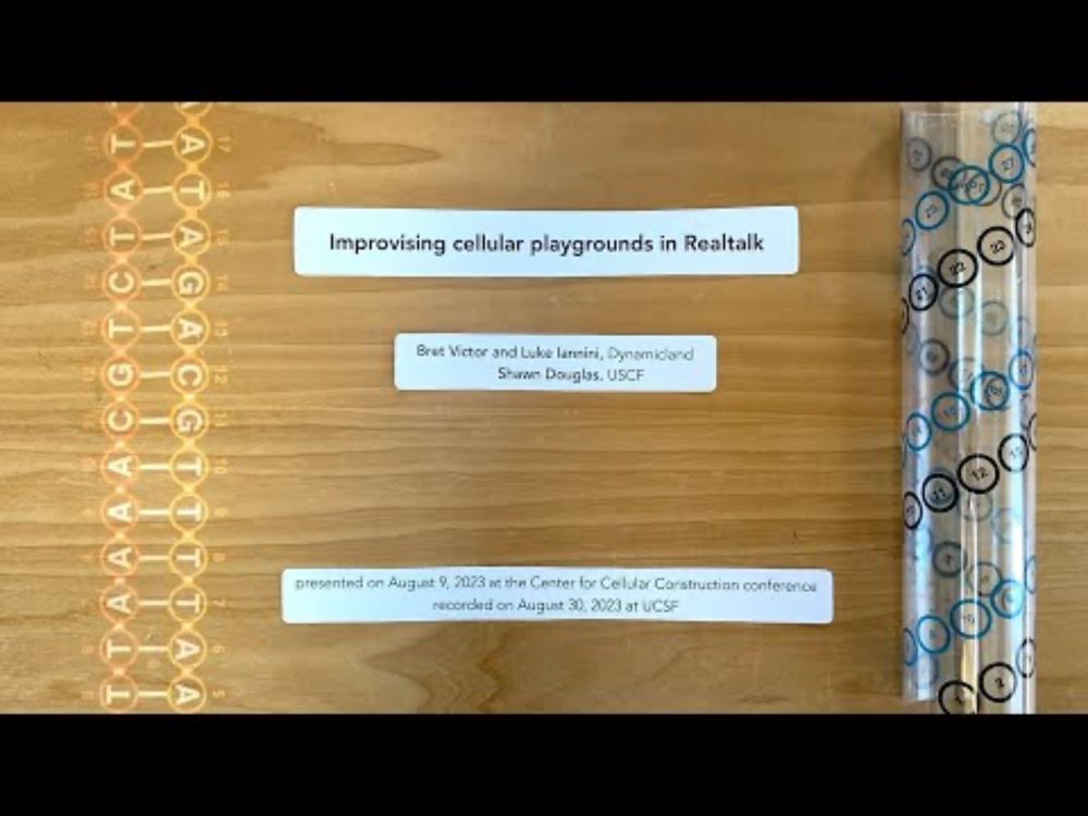 Introduction to cellular playgrounds in Realtalk, Aug 2023
