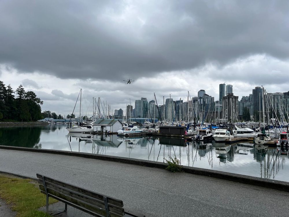 A grey, overcast day at Vancouver’s Coal Harbour. Sailboats and yachts are docked at the marina, with the city skyline and tall glass buildings in the background. A seaplane is mid-flight above the water, and a wooden bench sits in the foreground near the path.
