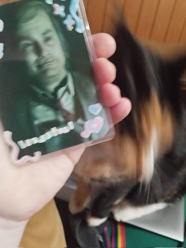 the same photocard from the previous image, being held in a hand that is being headbutted by a blur of a tortoiseshell cat.