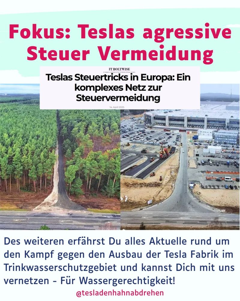 Fokus: Teslas agressive Steuervermeidung