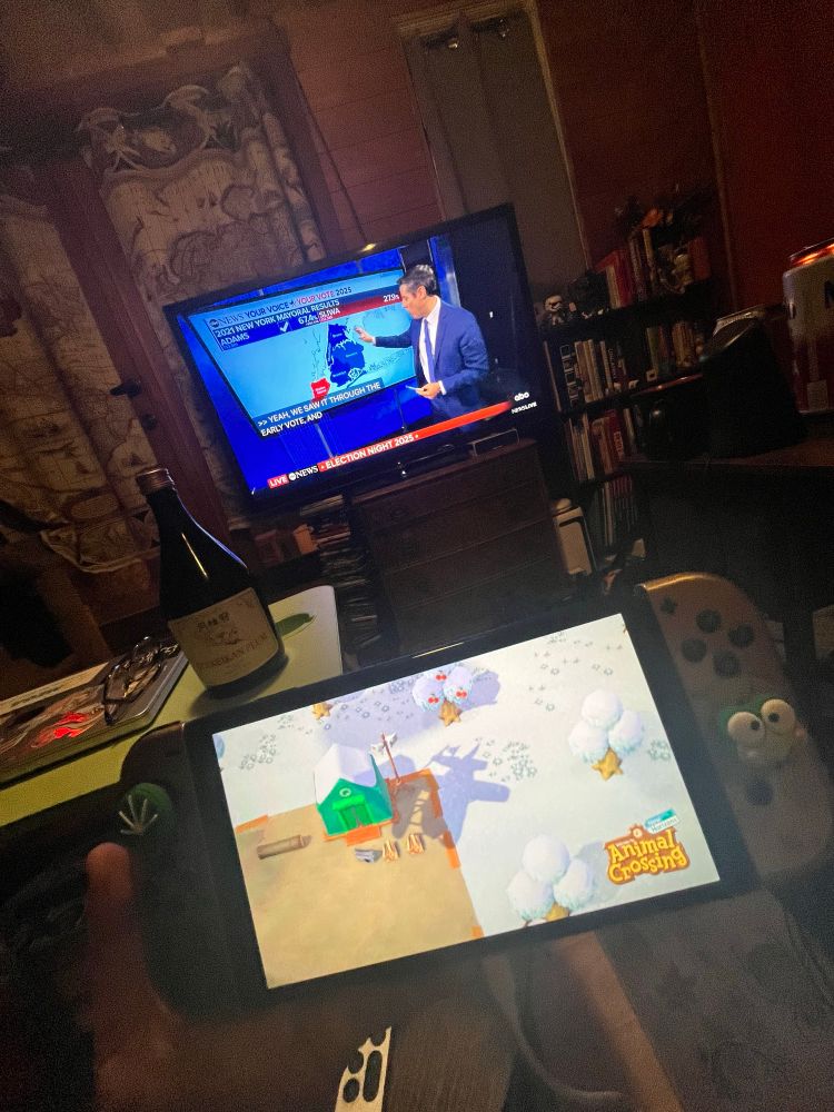 The news on the tv, and a nintendo switch with Animal Crossing on it  